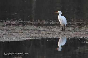 Individu isolé en hiver